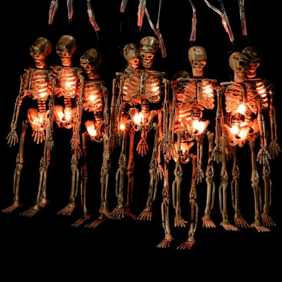 Halloween Skeleton Skull Lighted Holiday Displays