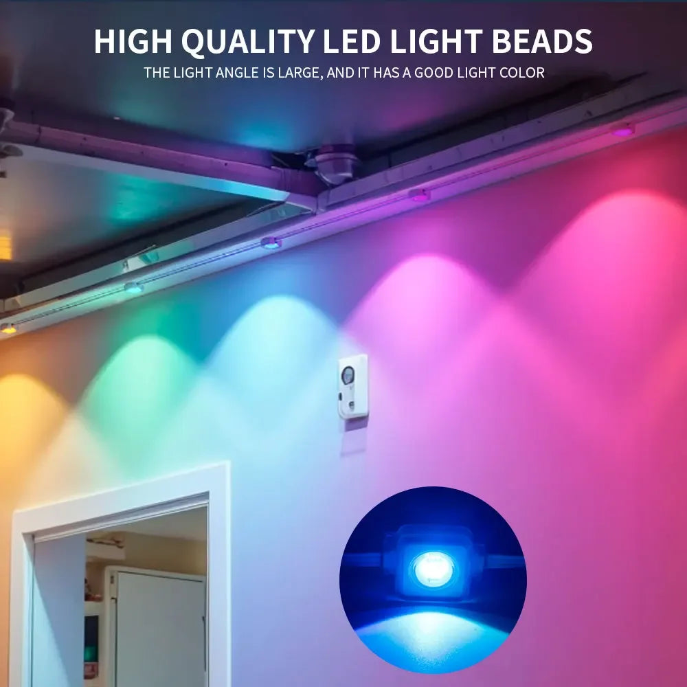 LED Strip Light for House w/Remote