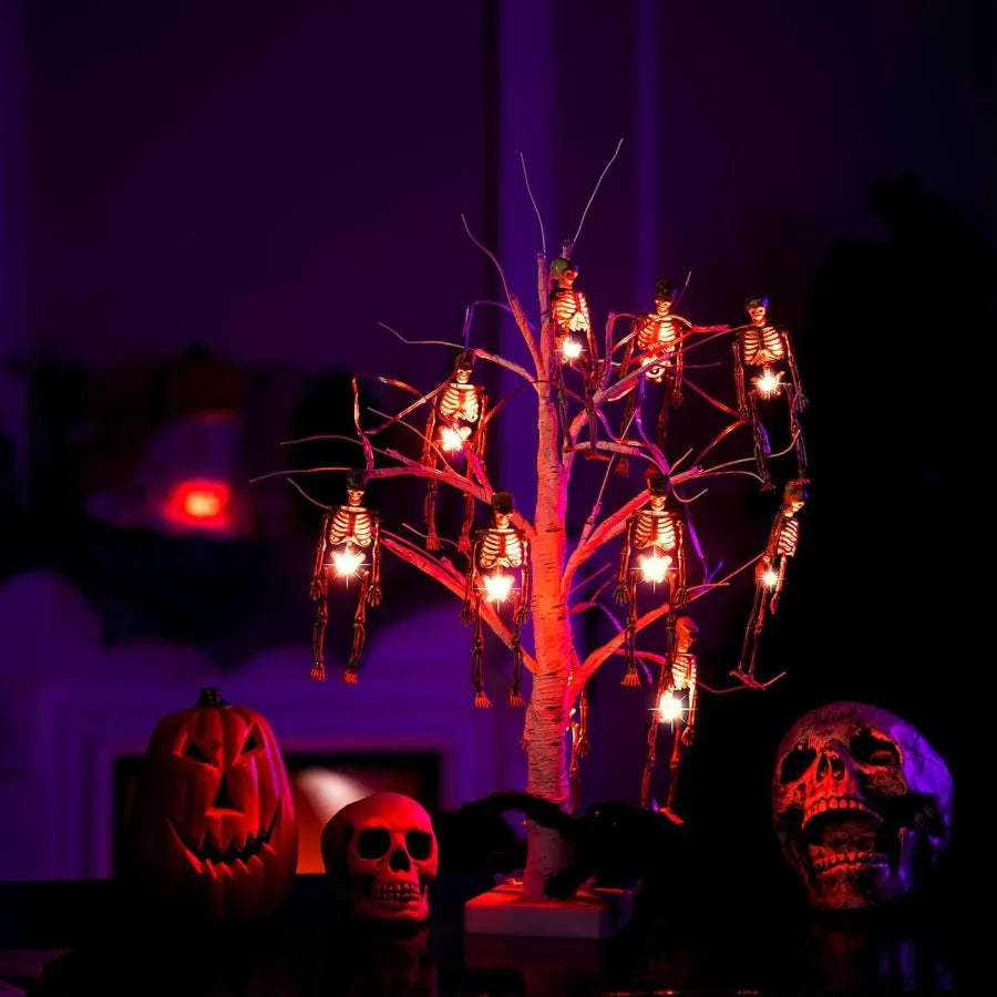 Halloween Skeleton Skull Lighted Holiday Displays