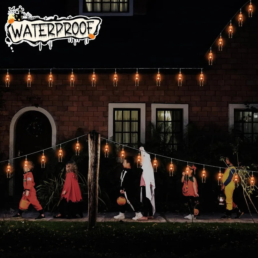 Halloween Skeleton Skull Lighted Holiday Displays