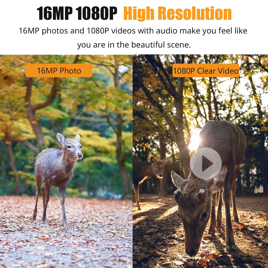 1080P Hunting Camera 2.0in LCD 16MP Infrared Night Vision Mobile Monitoring IP66 Waterproof Trail Camera waterproof camera