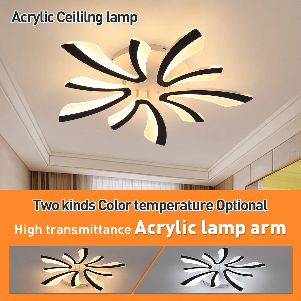 Modern Acrylic Ceiling Lamp Led